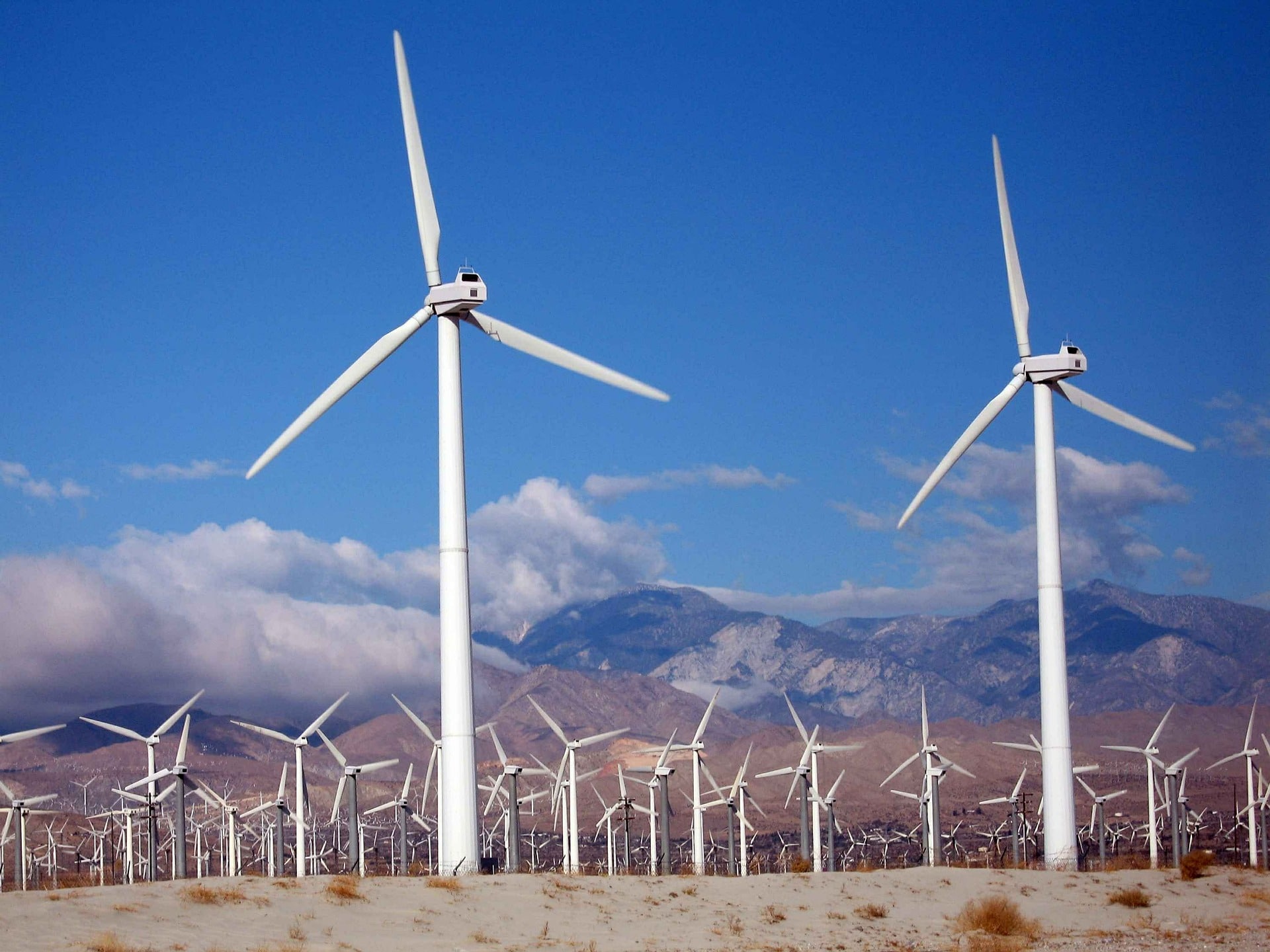 Vestas Wind Systems, firma de energía eólica, se instalará en México |  Nación Eléctrica - El portal de noticias sobre energía eléctrica más leído  de México.